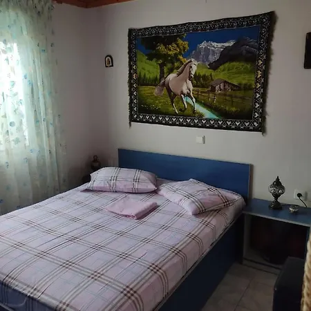 Vasiliki Néa Meságkala
